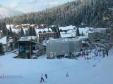 laax
